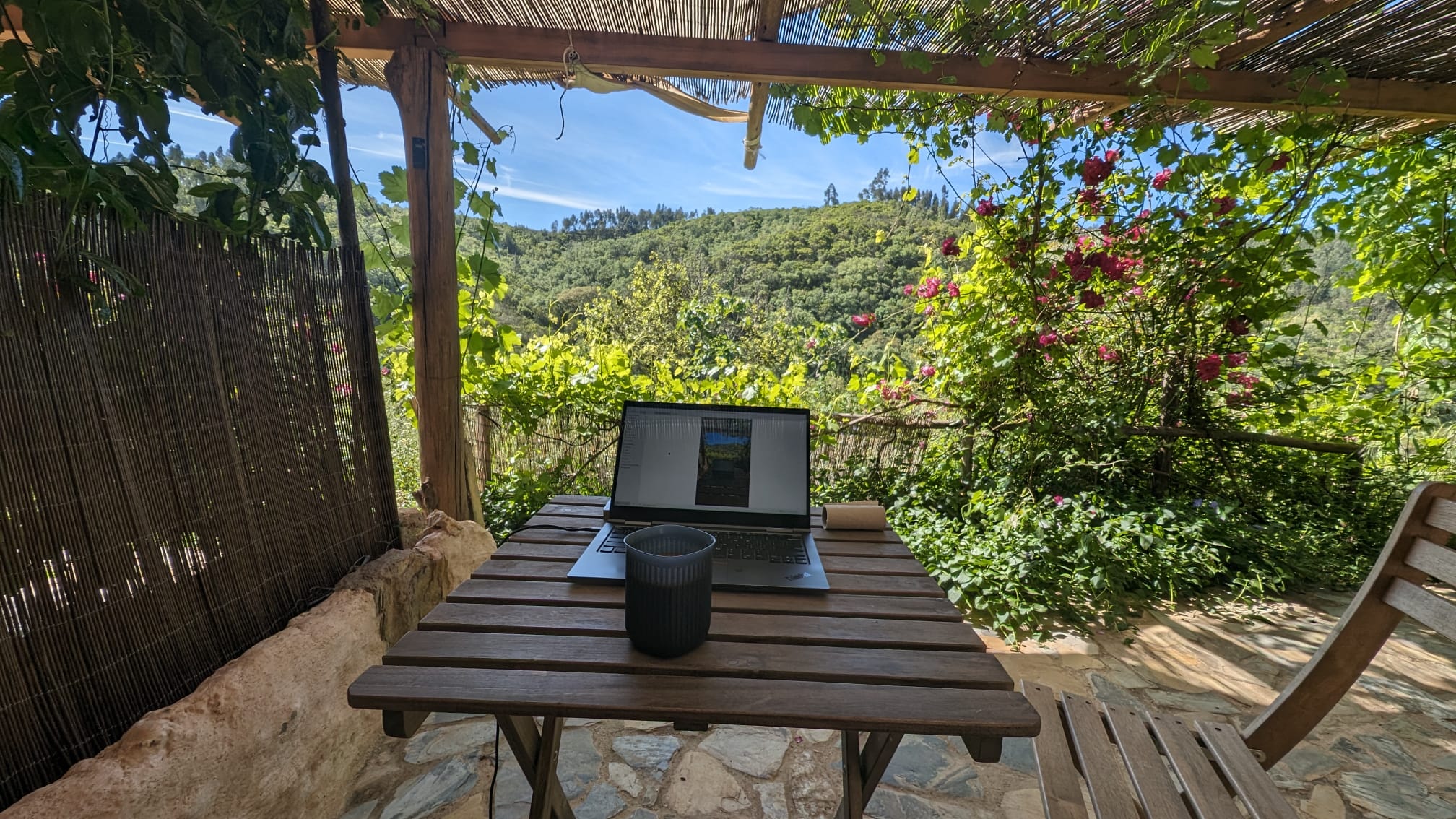 Aeropress, if you read this I love you